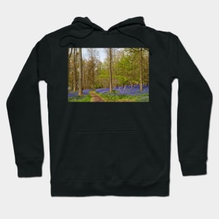 Bluebell Woods Greys Court Oxfordshire UK Hoodie